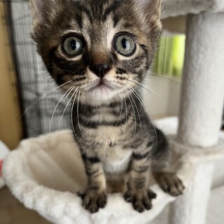 天真爛漫な男の子です