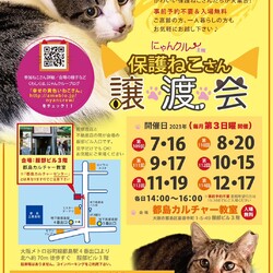 にゃんクルー保護猫さん譲渡会