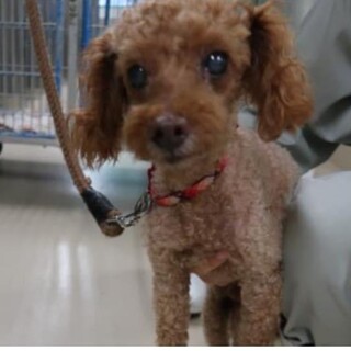 引き出したので一般に切り替えます