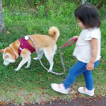 出だしだけ引きが強いけど…後はﾄﾎﾞﾄﾎﾞだから(;´∀｀)２歳でも大丈夫(o＾・＾o)