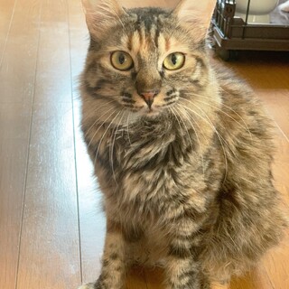 【9/24東銀座】アイラちゃん　2歳♪