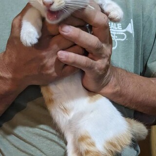 直接面談の上、譲渡させて頂きます。