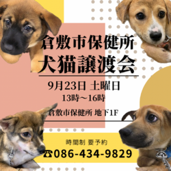倉敷市保健所　収容犬猫譲渡会