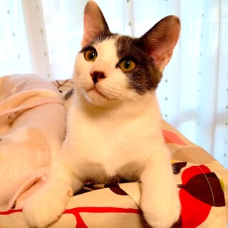 チャーミーちょっちゃん❣