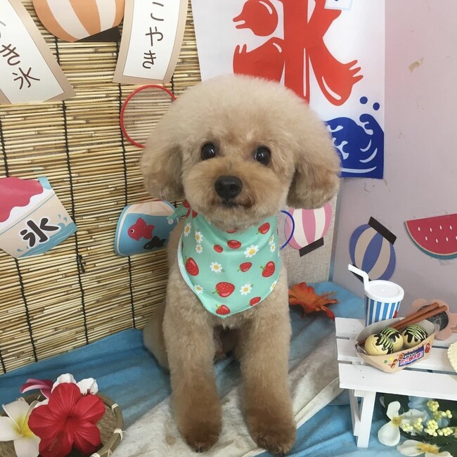 kuluのカバー写真
