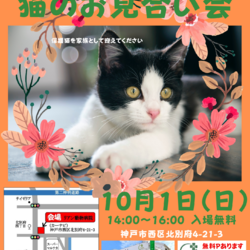 ゆったりほっこりする猫のお見合い会