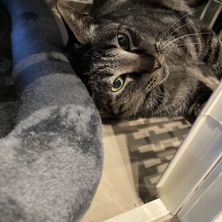 奄美大島からきたわがままボディの甘えん坊男子