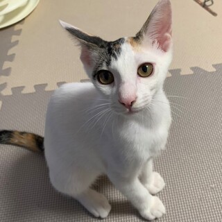 遊ぶの大好き★ナツちゃん