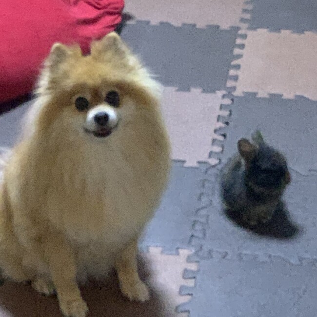 YAMATO1のカバー写真