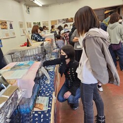 百町保護猫譲渡会&マルシェ サムネイル2