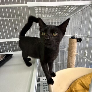 ありがとうございました！