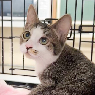 募集停止フレンドリー女子⭐️タータン