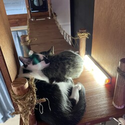 コウちゃん、チビッコ⭐︎カンファレンス