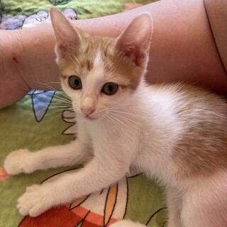 ありがとうございました