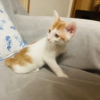 有難う御座いました