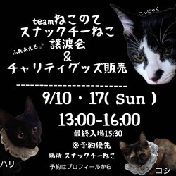 ふれあえる譲渡会