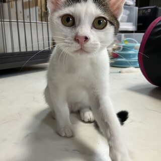 レンちゃんと一緒にずっとのお家に行きました♡