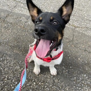 「ワカメ」女の子