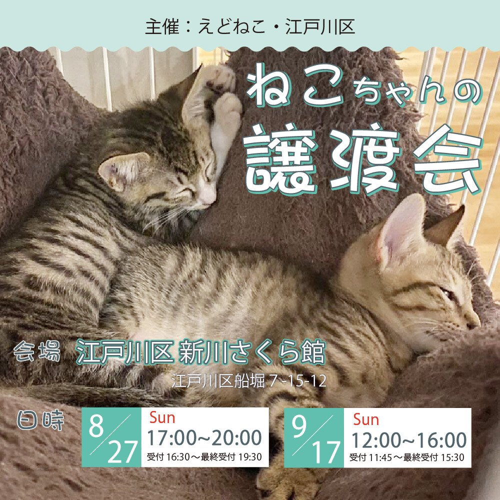 さくらとねこパネル生地 ハンドメイド パネル生地 ミケ様専用 【公式通販】