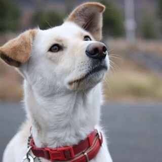 美人でとても賢いみんなのお姉さんユイちゃん