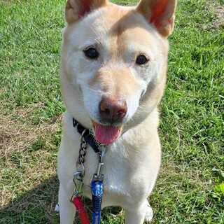 パッチリお目目でキョトン顔が愛おしいムサシ君