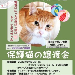 第6回オープンシェルター譲渡会開催します！ サムネイル1