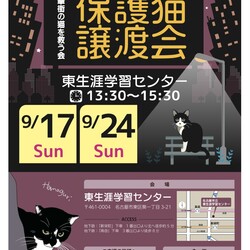 繁華街の猫を救う譲渡会in東区