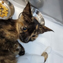 「回復してきてます！♡」サムネイル2