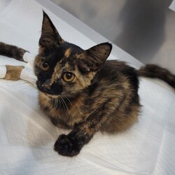 「回復してきてます！♡」サムネイル3