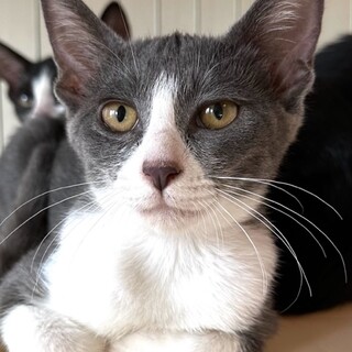 ちょっとビビリな甘えんぼ　うみちゃん