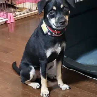 沖縄から来たちょっとビビりだけど甘えん坊な男の子