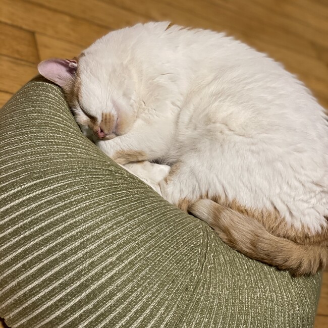 tsk710113のカバー写真