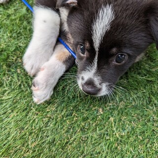 幸せなご縁に恵まれました。ありがとうございました。