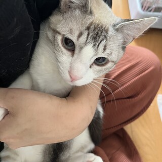 素敵なご家族と出会えました