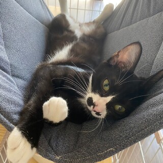 ツンデレ可愛い★ひじきちゃん