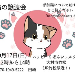 ハッピーりぼん 保護猫譲渡会