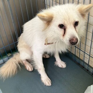 ありがとうございました！