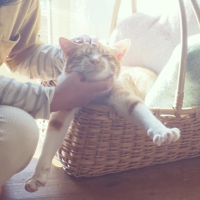 ななばあさんのカバー写真