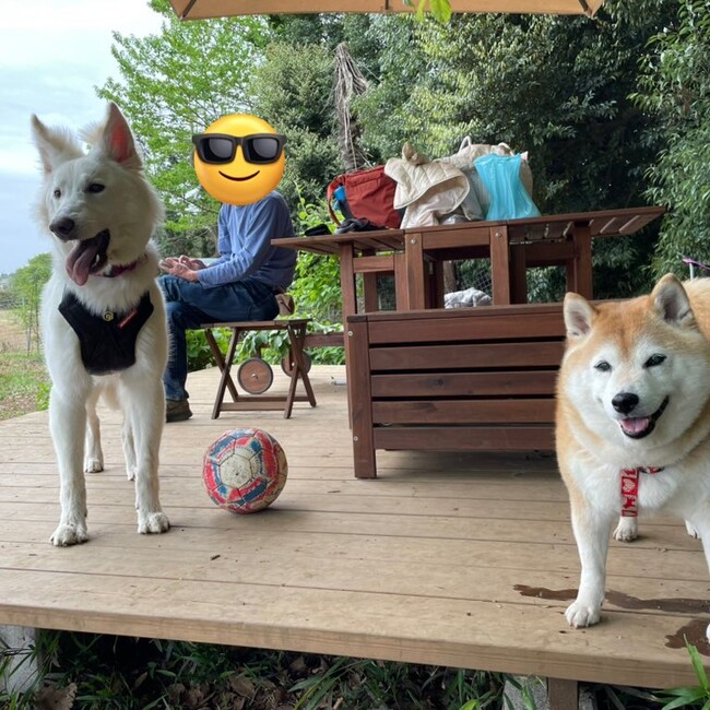 モグモグわんこのカバー写真