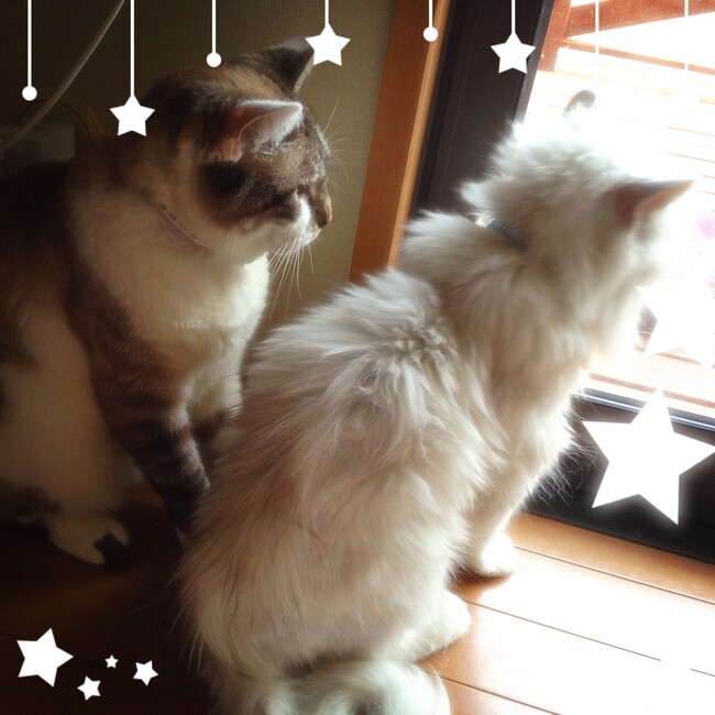 hkr.mugichocoのカバー写真