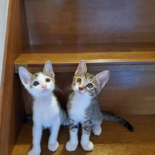 とっても甘えん坊です