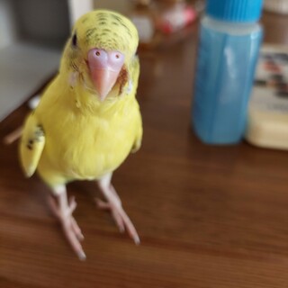 私が病気になったためです