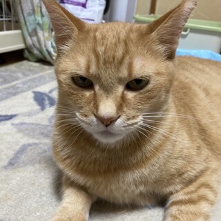 〝ちゃこちゃん〟です♪