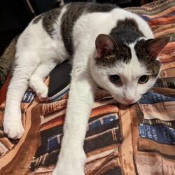 「家族」サムネイル3