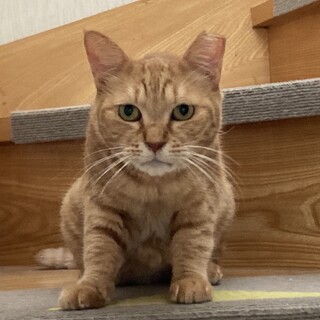 〝しぶ子ちゃん〟です♪