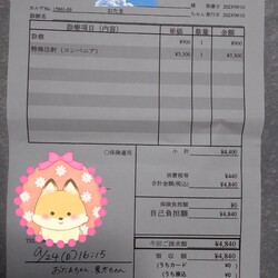 「たま病院でした」サムネイル2