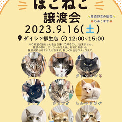ほごねこ譲渡会　〜愛すべき野良猫の会〜