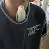 もちーー