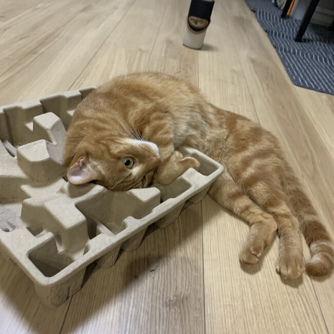 くー茶々ママのカバー写真