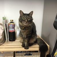 くー 助